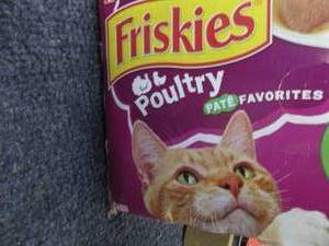 Friskies Pack Poultry Pate...