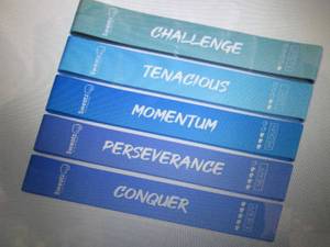 6 Sets Sweatz Resistance Bands with...