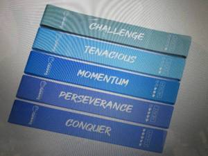 6 Sets Sweatz Resistance Bands with...