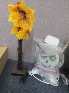 3D Skeleton Dcor(assembly require...