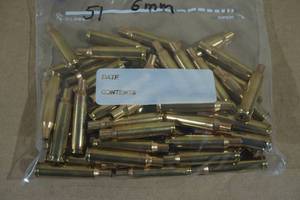 Empty 6mm Rem Casings - 51 Count