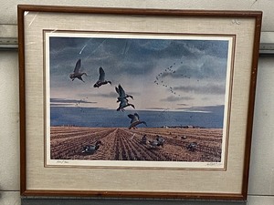Les Kouba Wildlife Print