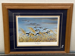 Les Kouba Signed & Numbered Wildlife Print