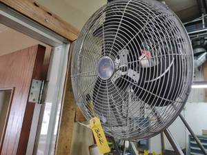lot 352 image: 16 Wall Mounted Fan...