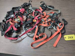 lot 383 image: Assorted Straps...