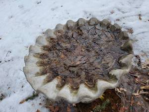 lot 88 image: Clamshell Brim Concrete Birdbath