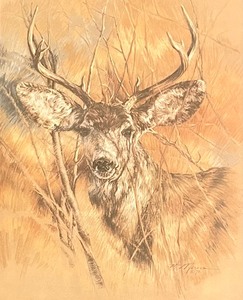 lot 322 image: Brilliant Buck Print by K. Maroon