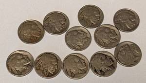 lot 20 image: Partial Buffalo Nickel Collection