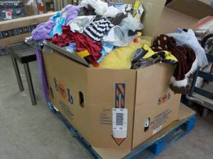 Pallet of Halloween Costumes includ...