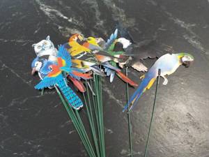 18 Bird Stakes...