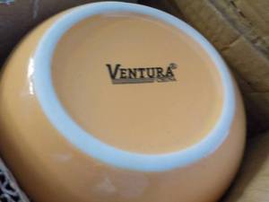 Case of 24 Ventura Peach Soup Bowls...
