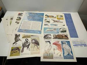 Womans Day Guide to Birds of America