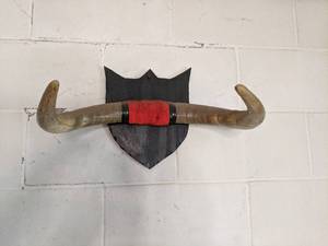 lot 62 image: Mounted Horns See Photos...