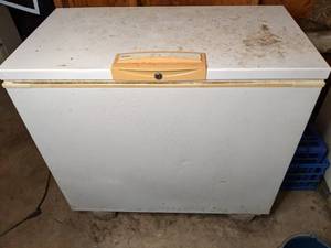 lot 124 image: Kenmore Chest Freezer (Model# 253.9...