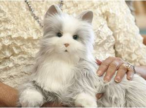 JOY FOR ALL - Silver Cat with White Mitts - Interactive Companion Pets - Realistic & Lifelike