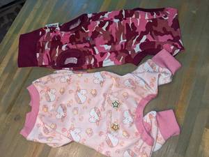 Dog Outfits Including a Lion, SM