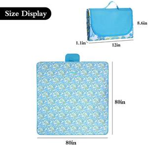 2 Broadsheet Extra Large Picnic Blankets
