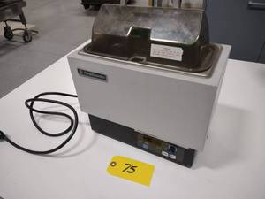 lot 75 image: Fisher Scientific Model 5L-M Isotem...
