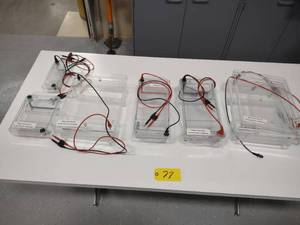 lot 77 image: Bio-Rad Gel Electrophoresis Apparat...