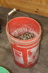 lot 1169 image: 516x100 Chain with Hook Ends