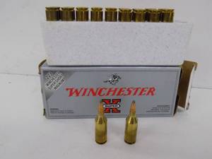 20 Rounds Winchester 223 WSSW 55gr