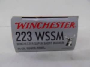 20 Rounds Winchester 223 WSSM 54gr