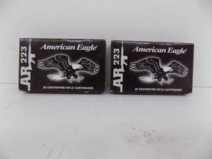 40 Rounds American Eagle AR223 55gr