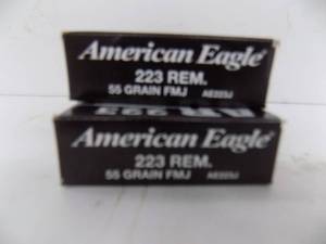 40 Rounds American Eagle AR223 55gr