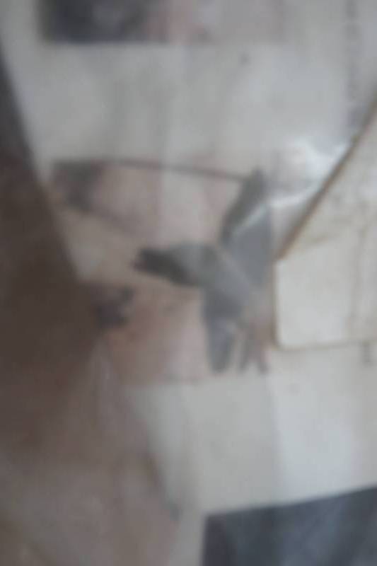 lot 450 image: mail box supprt