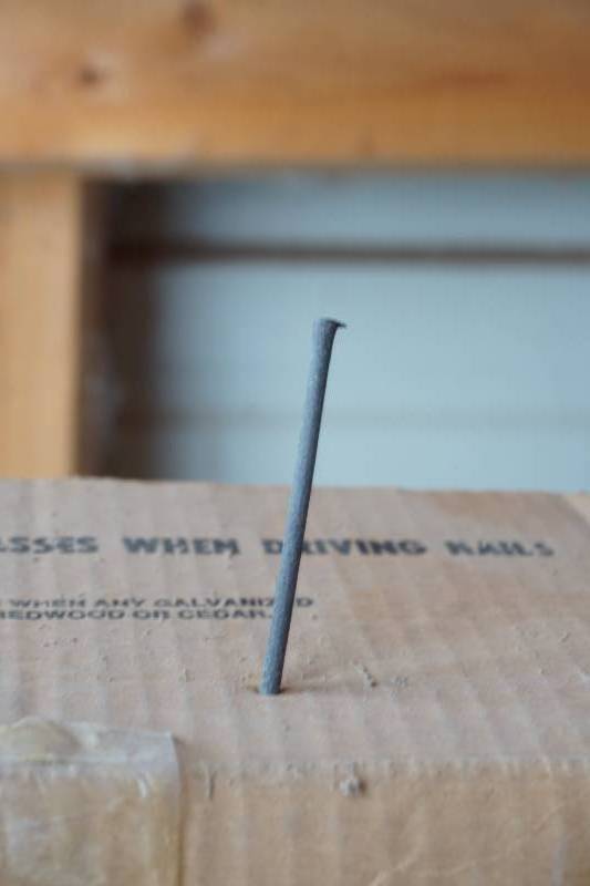 lot 1031 image: nails