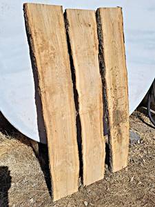(3) OAK Live Edge Slabs - Dimensions 50 x 9 x 54, 50 x 9 x 54 and 50 x 9 x 54