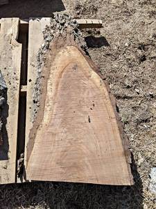 BLACK WALNUT Live Edge Slab - Approx. 41 x 20 x 2 Overall  - Not Kiln Dried