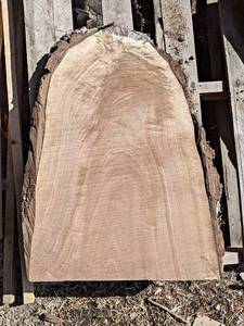 BLACK WALNUT Live Edge Slab - Approx. 27 x 20 x 2 Overall  - Not Kiln Dried