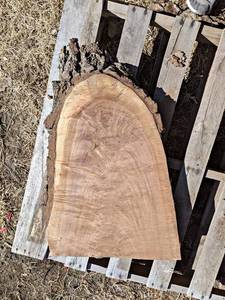 BLACK WALNUT Live Edge Slab - Approx. 29 x 19 x 2 Overall  - Not Kiln Dried