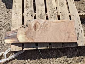 BLACK WALNUT Live Edge Slab - Approx. 27 x 12 x 2 Overall  - Not Kiln Dried