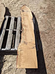 OAK Live Edge Slab - Approx. 82 x 14 x 1 Overall  - Dried