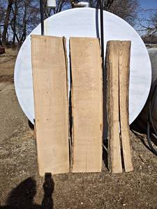 (3) OAK Live Edge Slabs - Dimensions 58 x 14 x 54, 58 x 13 x 54 and 58 x 10 x 54 (Split)