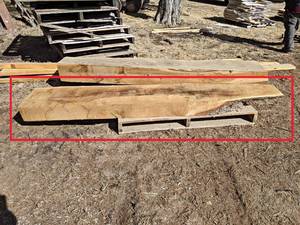 OAK Live Edge Slab - Approx. 88 x 15 x 5.5 Overall  - Dried