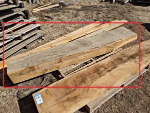 OAK Live Edge Slab - Approx. 87 x 15 x 8 Overall  - Dried