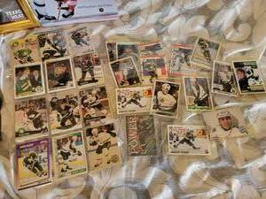lot 124B image: MN Northstar Mike Modano Shrine