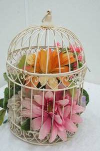 bird cage