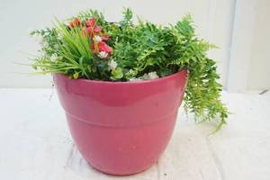 flower pot with flowers