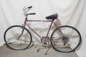 mens bike