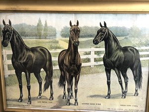 lot 56 image: Original Antique MW Savage Race Horse Fastest Stallions in the World Framed Litho Print wDan Patch