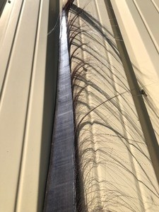 lot 228 image: HUGE Genuine 10 Section of Whale Baleen