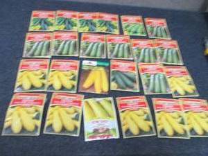 24 pks Assorted Summer Squash Seeds...