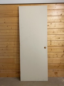 lot 66 image: Hollow Core Door