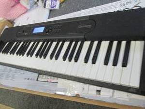 casio casitone powers on and works ...