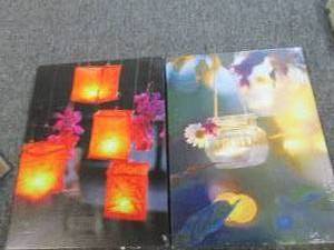 2 LED lighted flickering canvas pri...