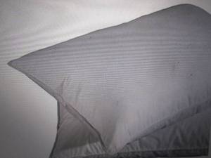 puredown white goose feather and do...